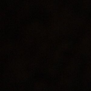 Meet your Posher, Noah